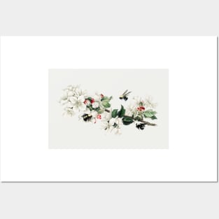 Vintage apple blossom illustration in a Christmas card Posters and Art